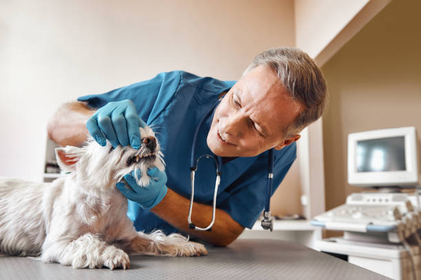 Best Weekend Emergency Dental Services in Tompkinsville, KY