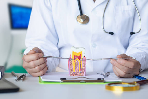 Best Emergency Wisdom Tooth Extraction in Tompkinsville, KY